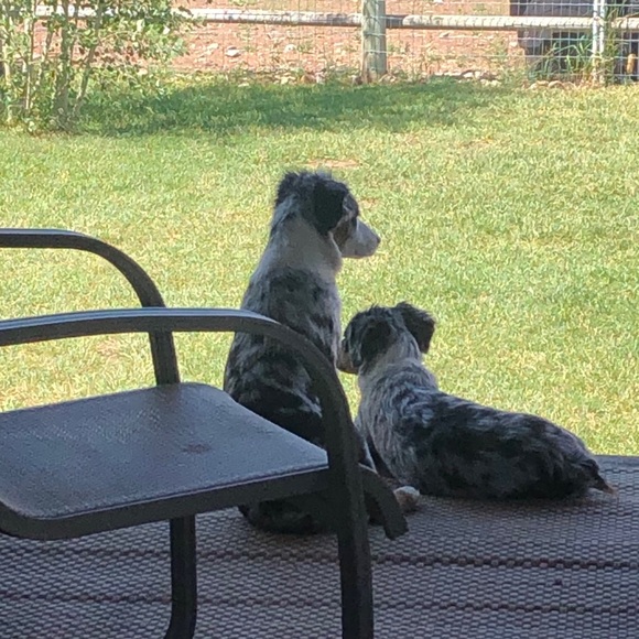 Meet the Posher - Picture 15 of 16